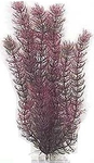 Tetra DecoArt 30см Red Foxtail (L)