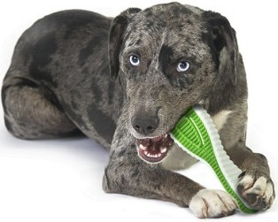  Petstages игрушка для собак Finity Dental Chew зубная щетка средняя 15 см (изображение 2)