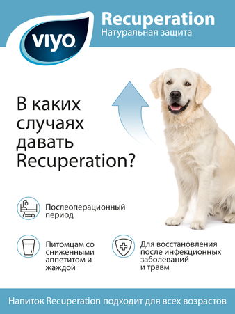  VIYO Recuperation для собак, 150 мл (изображение 2)