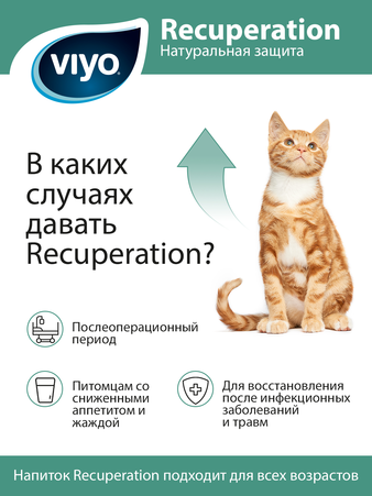  VIYO Recuperation для кошек, 150 мл (изображение 2)