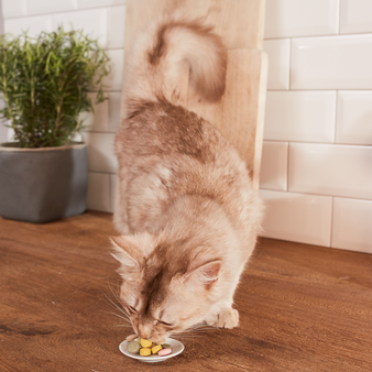  GimCat Витамины для кошек Мышки с творогом и таурином 220 г (изображение 3)