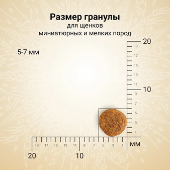 Корм для собаки Craftia NATURA для щенков миниатюрных и мелких пород из ягненка с перепелкой, мешок 2 кг (изображение 2)