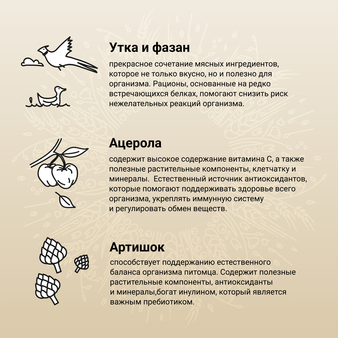 Корм для собаки Craftia NATURA для щенков миниатюрных и мелких пород из утки с фазаном (изображение 4)