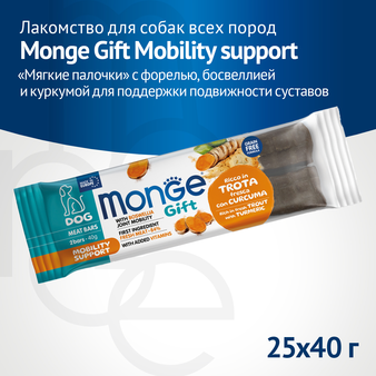  Monge Gift Mobility support 