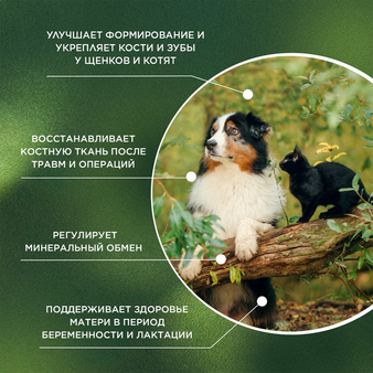  proPhyto ProPhyto Остеоплюс,  70 шт (изображение 3)