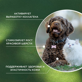  proPhyto ProPhyto для Кожи и Шерсти,  30 шт (изображение 3)