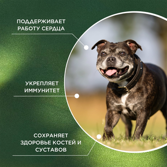  proPhyto Сеньор Саппорт,  100 шт (изображение 3)