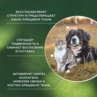  proPhyto Артро Защита (изображение 3)